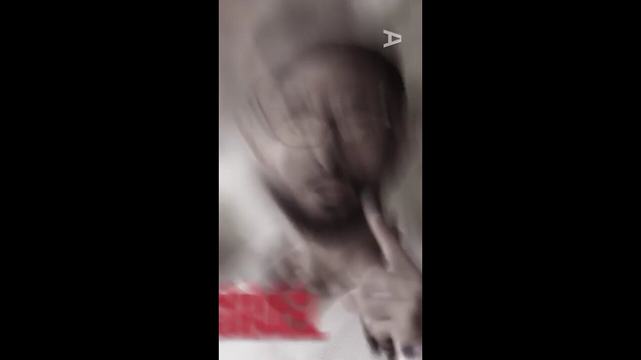 Israeli Arab discussing all the propaganda LIES about Israel. Learn some history & facts. Not the BS