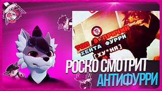 🐺 Роско смотрит VOOLZE - 🎚️5 ПУНКТОВ ГОВНА. ПРИЧИНЫ ХЕЙТА ОТ АНТИФУРРИ.🎚️