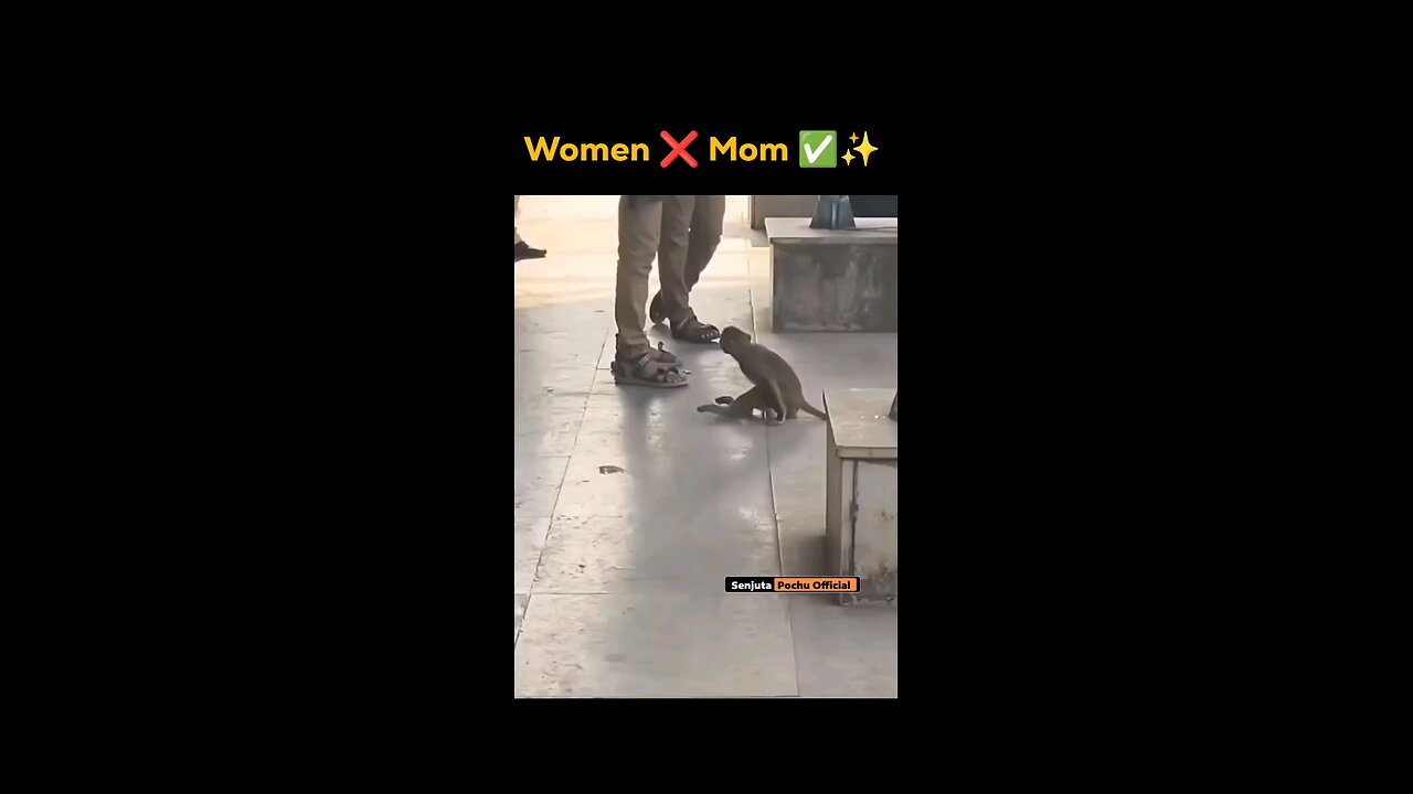 🫡