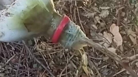 #tip , a use for brambles, emptying a bottle, wiggle