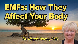 How the Body Reacts to Electromagnetic Frequencies