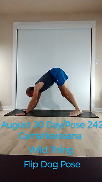 Camatkarasana / Wild Thing