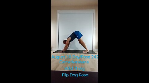 Camatkarasana / Wild Thing