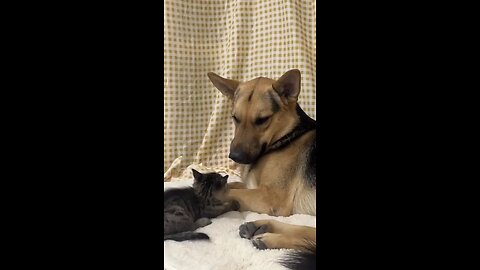 Cutest video of the day🥰