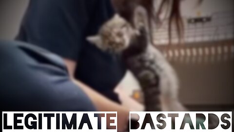 Welcome to 2026. Hang in there folks.