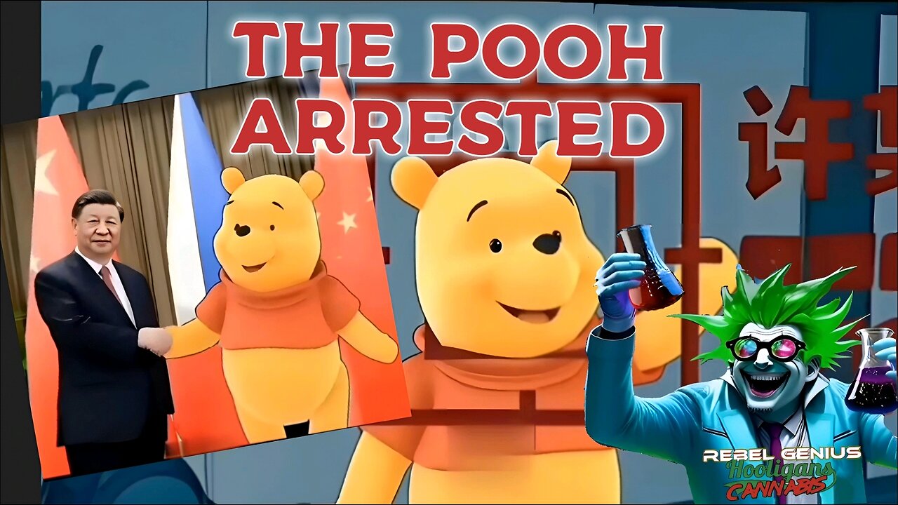 🤣 Winnie the Pooh Arrested