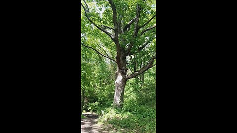 Washington Missouri