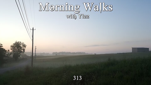 Morning Walks with Yizz 313