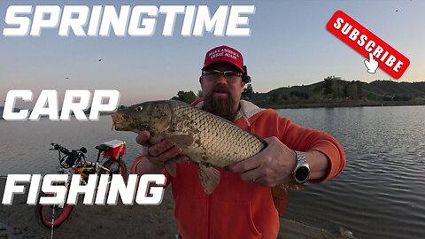 Springtime | Carp Fishing | Lake Elsinore Fishing Report