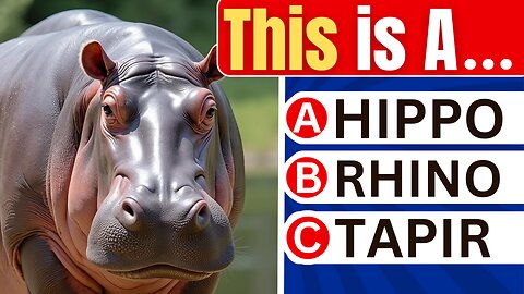 How Good is Your General Knowledge | 100 Questions Challenge