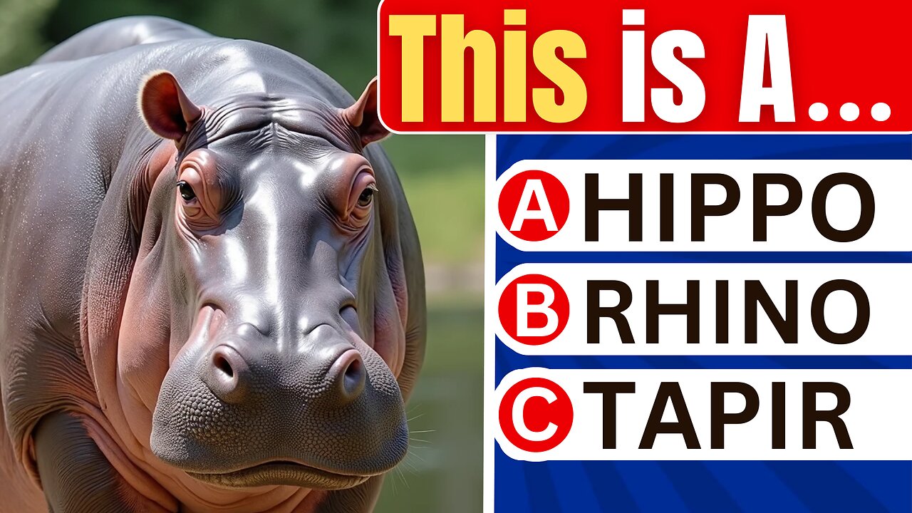 How Good is Your General Knowledge | 100 Questions Challenge
