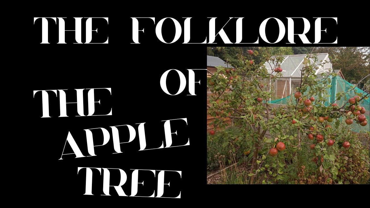 S9 Ep 7 The Enchanted Apple - Folklore, Beliefs & Traditions