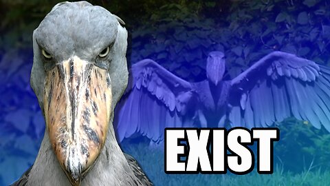 The Last Living DINOSAUR