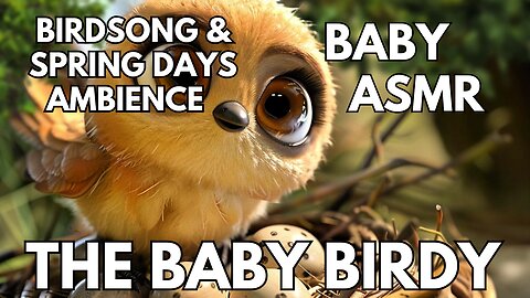🍼 Baby Birdy Ambience | Gentle Birdsong & Spring Days | 4K Baby & Toddler ASMR | Springtime