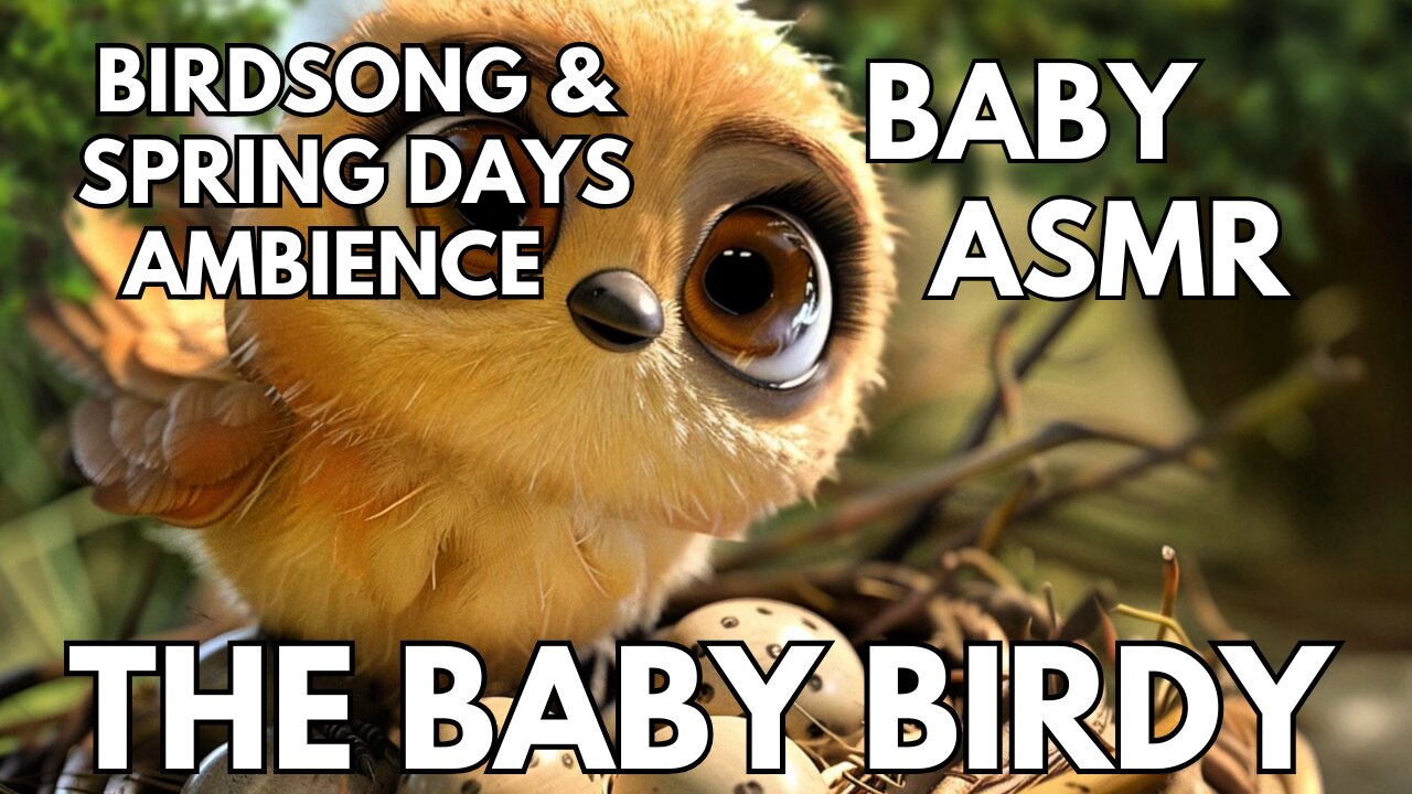 🍼 Baby Birdy Ambience | Gentle Birdsong & Spring Days | 4K Baby & Toddler ASMR | Springtime