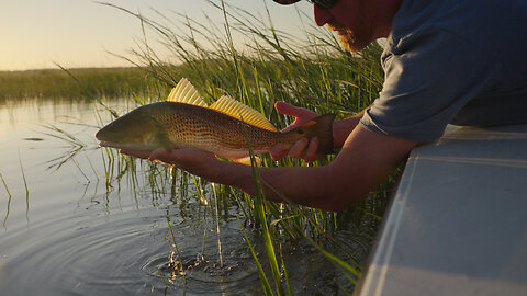 All To Be Enjoyed - #flyfishing #fishing #floodtidefishing #floodtide #floridafishing