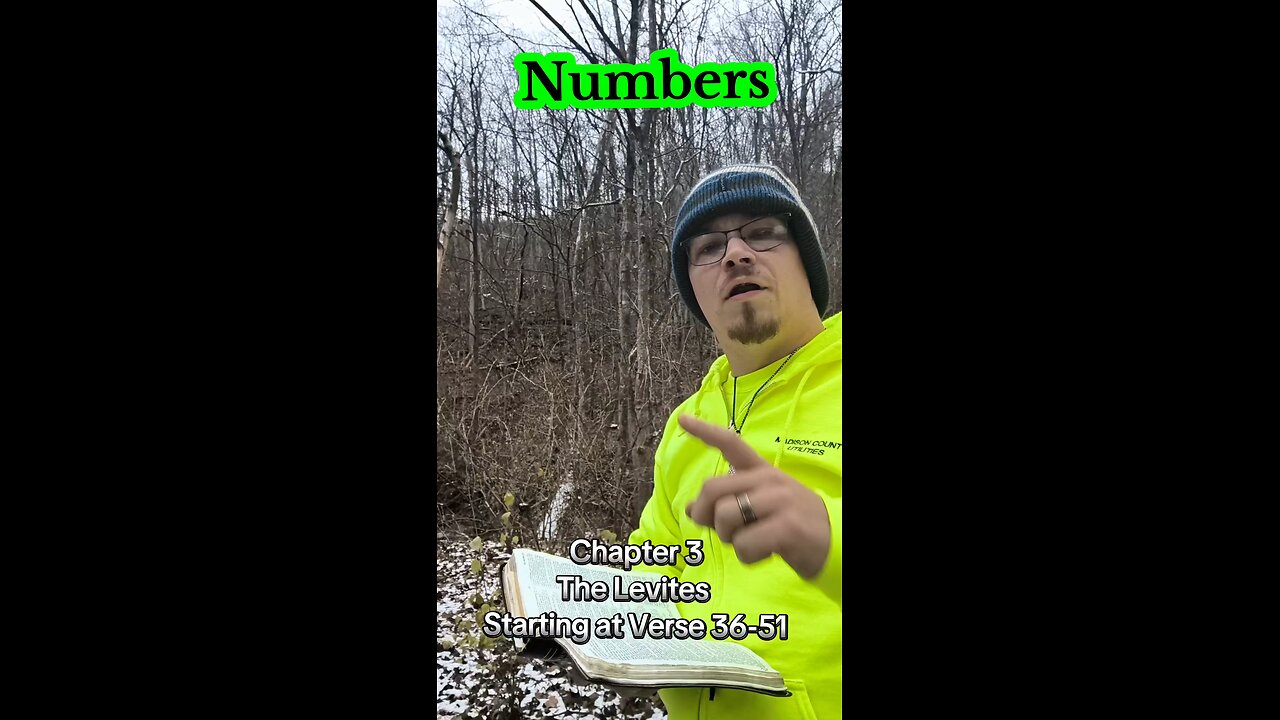 The Book of Numbers