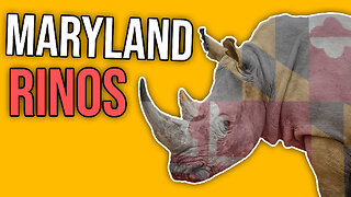 Maryland RINOs | Dumbest Bill in America