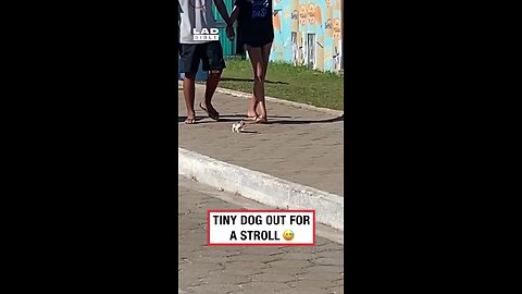 Is it a stroll or a marathon? 🤣⁠ ⁠ 🎥
