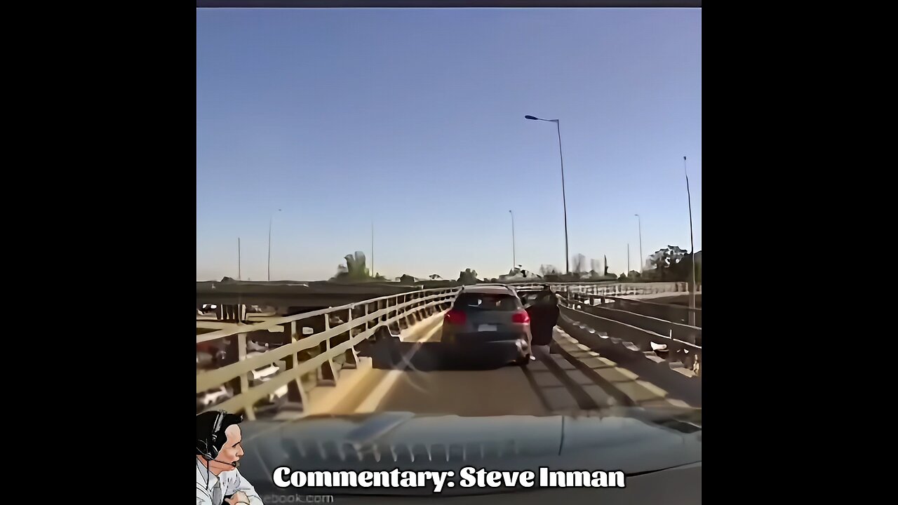 Thugs vs. Vehicles Compilation