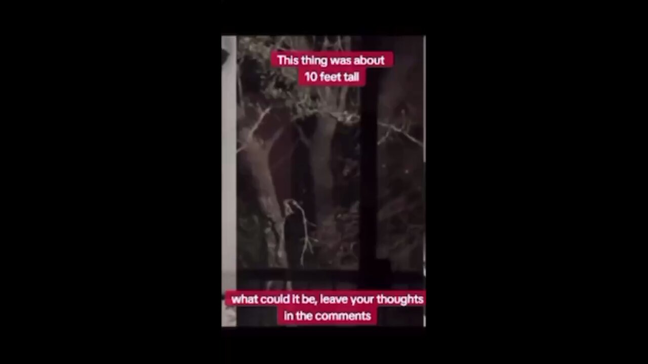 Scary creatures