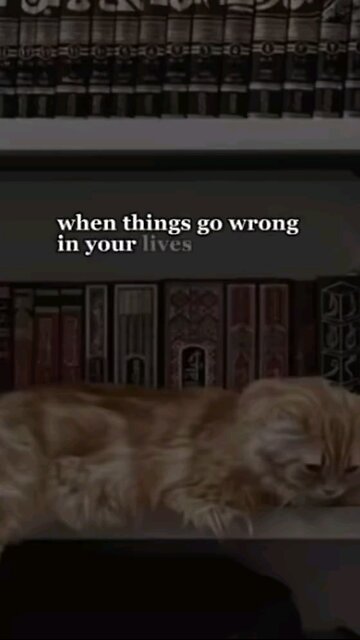 we need to search for the right way