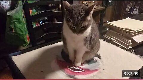 🛑 SAINT10 PART 2 RETURN TO MOLD MANSION 11-25-25