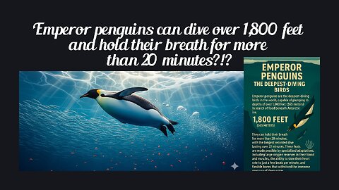 Fun Fact for Sept 9th 2025 Pt 1