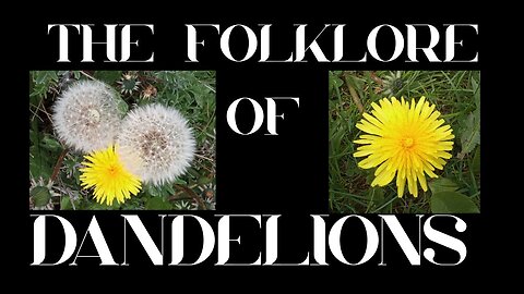 S9 Ep 9 Dandelion Folklore - Weeds, Wishes & Wonder!