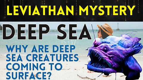 🌊 Dive into the Abyss: Bizarre Creatures of the Deep Ocean You Won’t Believe Exist! 🐙✨