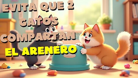 Evita Que 2 Gatos Compartan La Misma Arena