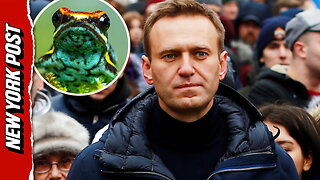 Alexi Navalny fatally poisoned with toxin from an Ecuadorian dart frog