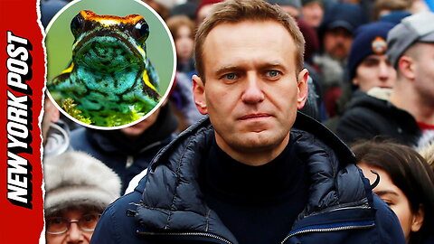 Alexi Navalny fatally poisoned with toxin from an Ecuadorian dart frog