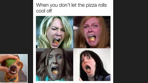 Memes That Will 99.0341% Make You Laugh. (e565)