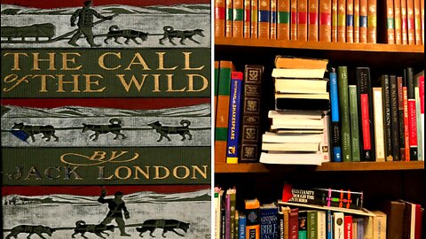 The Call of the Wild chapter 5 part 2