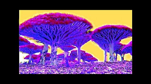TREES ON MARS???