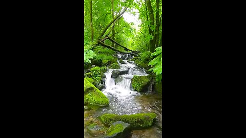 De beaux paysages naturels