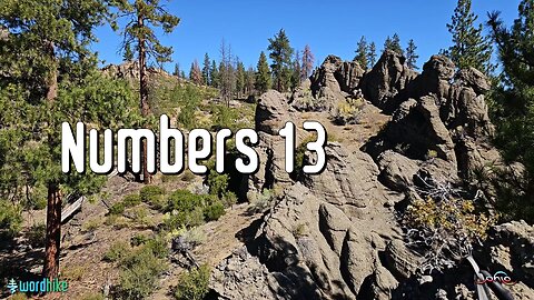 Numbers 13, Bible Reading in Nature, BSB