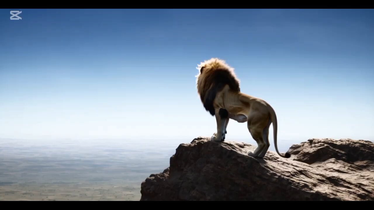 lion don't lose sleep over sheep #lion #sheep #sleep