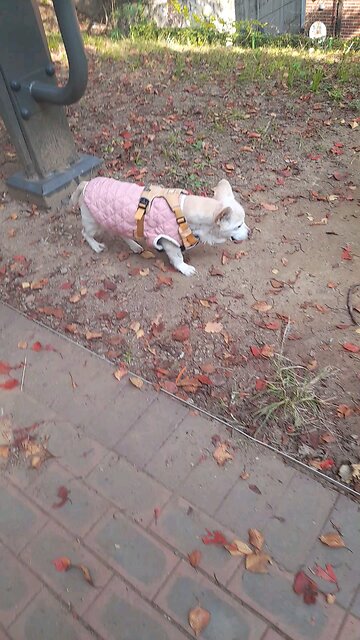 20251107. God made the world.