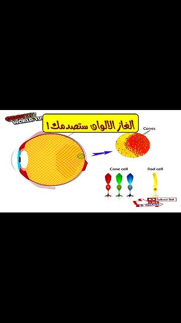 لغز الألوان: حقائق مدهشة ستصدمك! #ألوان #غموض #حقائق