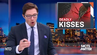 300,000-Plus Americans Infected With This Dangerous Parasite