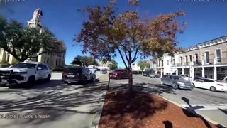 Stand Up for your Rights! - Otto the Watchdog