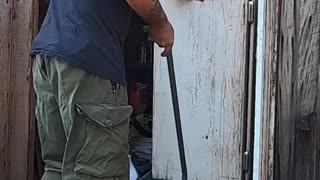 Building a Nature-Cooled Fridge_ Genius Idea or Epic Fail_ #offgridfridge #livingoffgrid