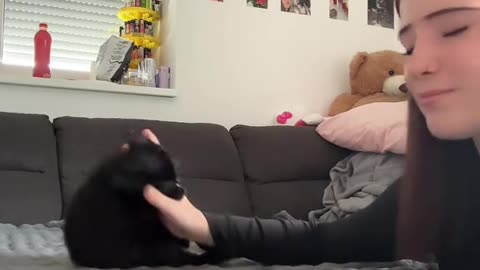 MMA training 🤣