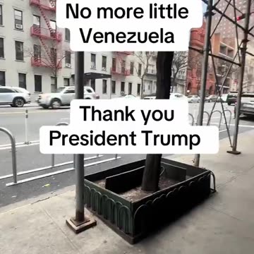 CLEARING OUT THE ILLEGALS