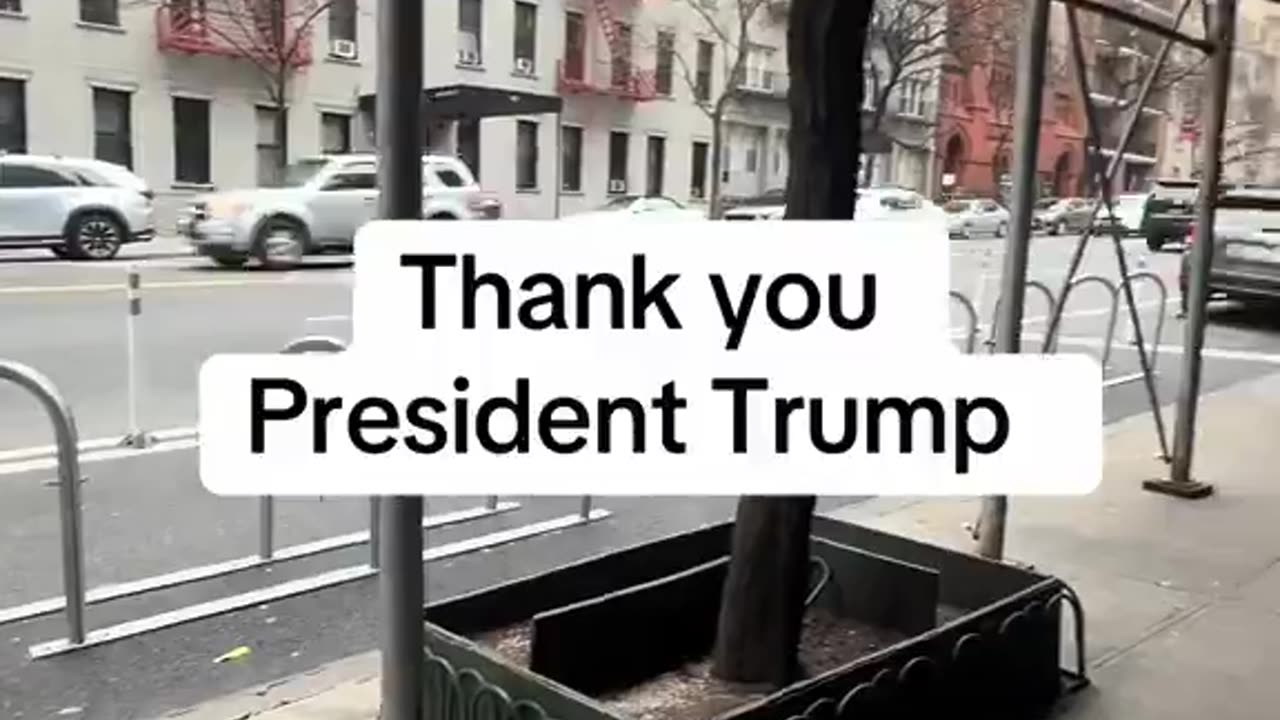 CLEARING OUT THE ILLEGALS