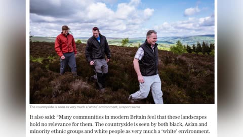 This Is What It's Come To