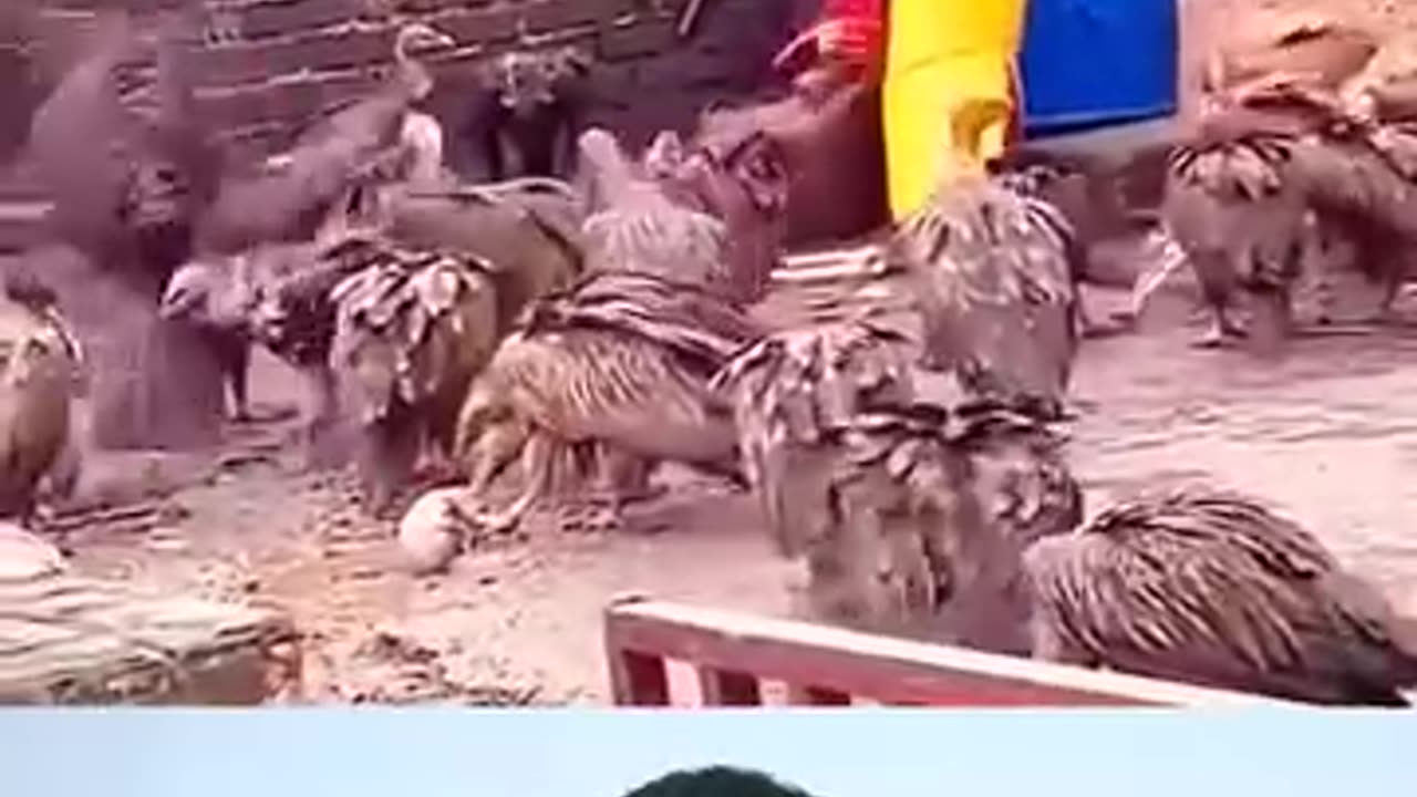 Funny
