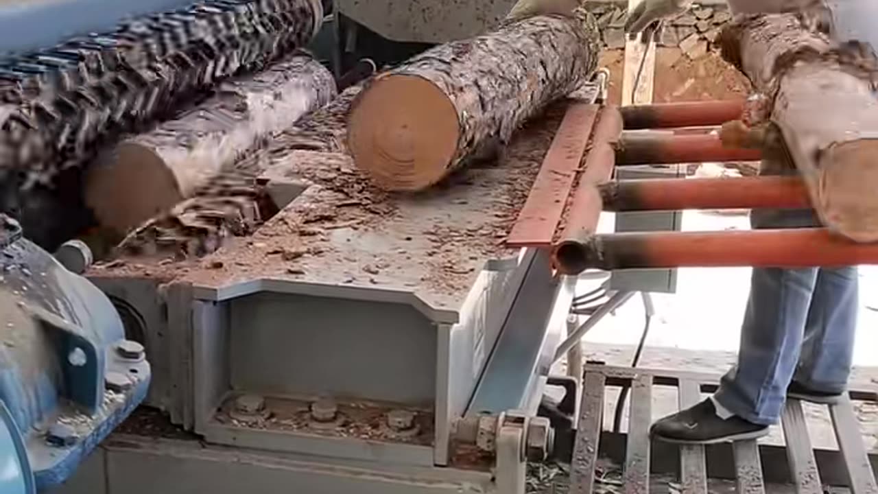 🤯💥 Satisfying Machine in Action! | FeedMyCuriosity